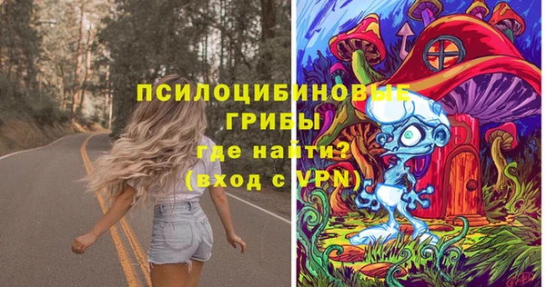 Альфа ПВП Арсеньев