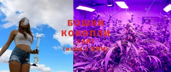 PSILOCYBIN Армянск