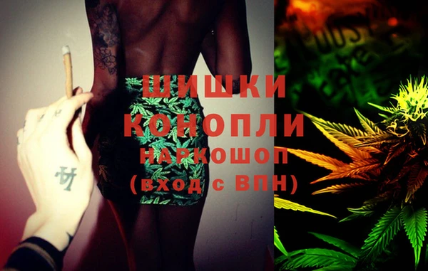 PSILOCYBIN Армянск